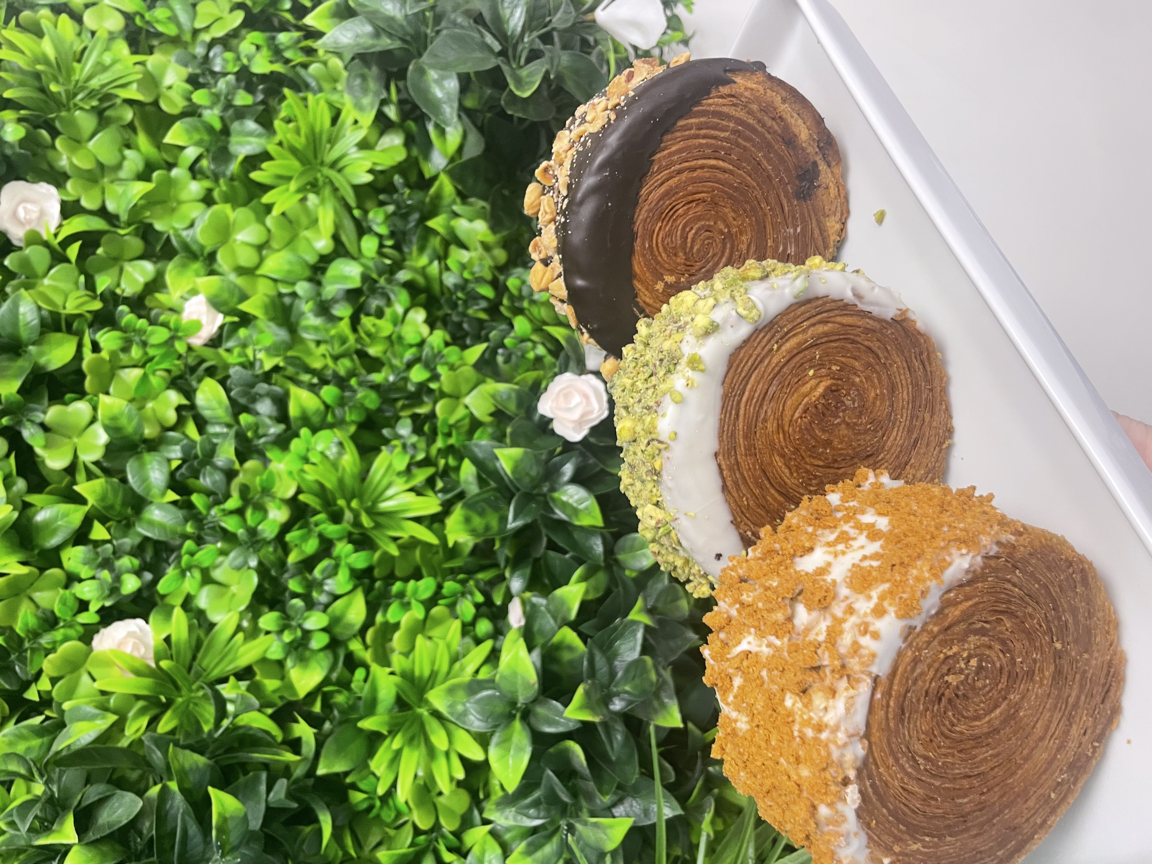 Image de présentation